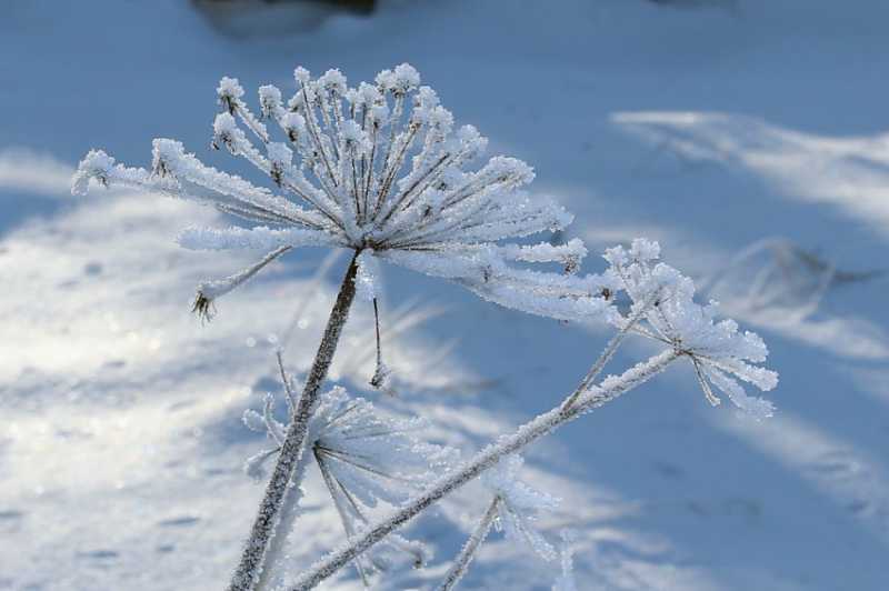 Зимние фото Г. Крушеницкого.