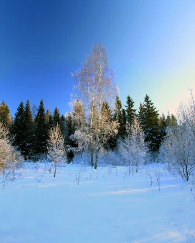 Зимние фото Г. Крушеницкого.