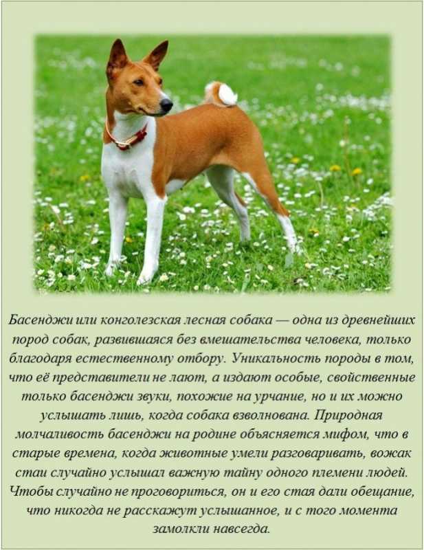 ������������ �����.