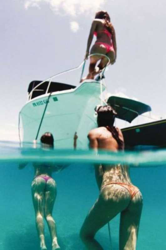 �������� - 115.