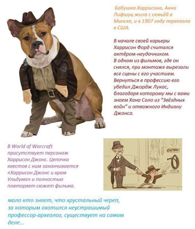 ����� �� ������� ������.