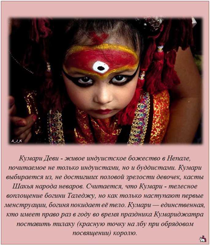 ������������ �����