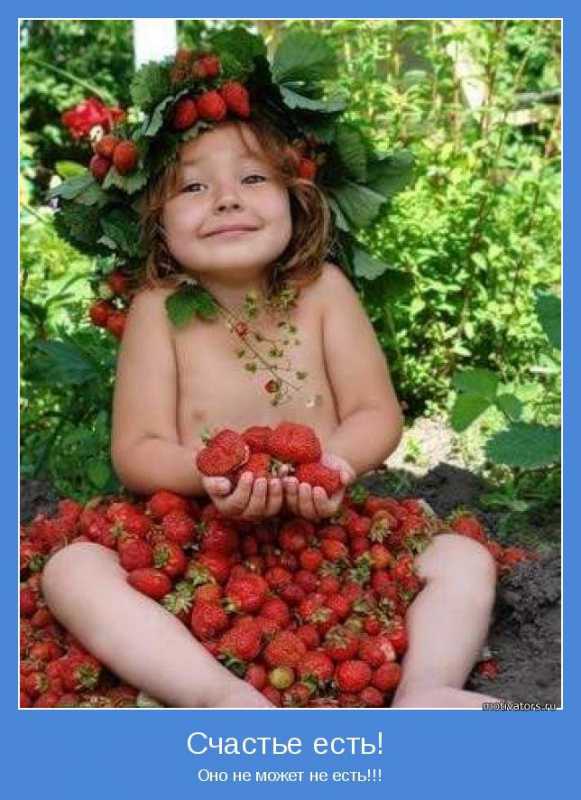 ����������.