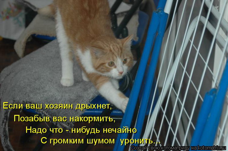 Найду что нибудь. Что-нибудь интересное и смешное картинки. Что нибудь смешное. Что нибудь интересное картинки. Фото чего нибудь прикольного.