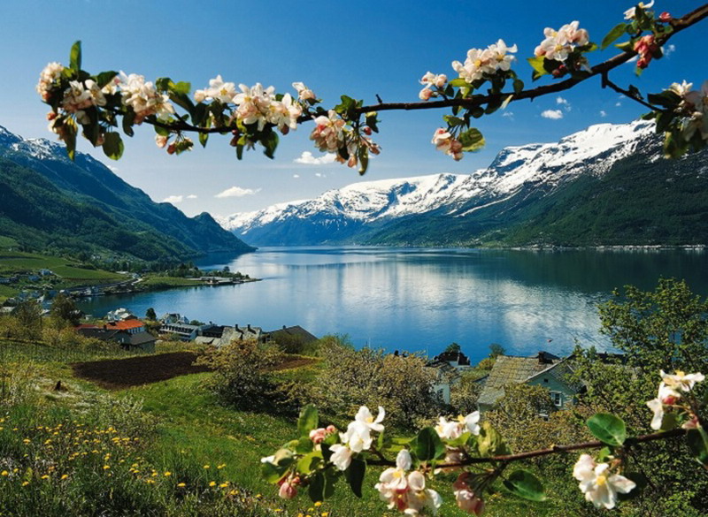 Прекрас ный. Хардангер-Фьорд. Фьорды Норвегии. Озеро Зееальп, Швейцария.