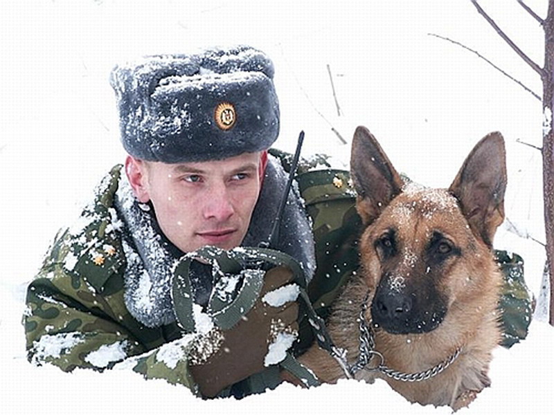 Фото пограничника с собакой