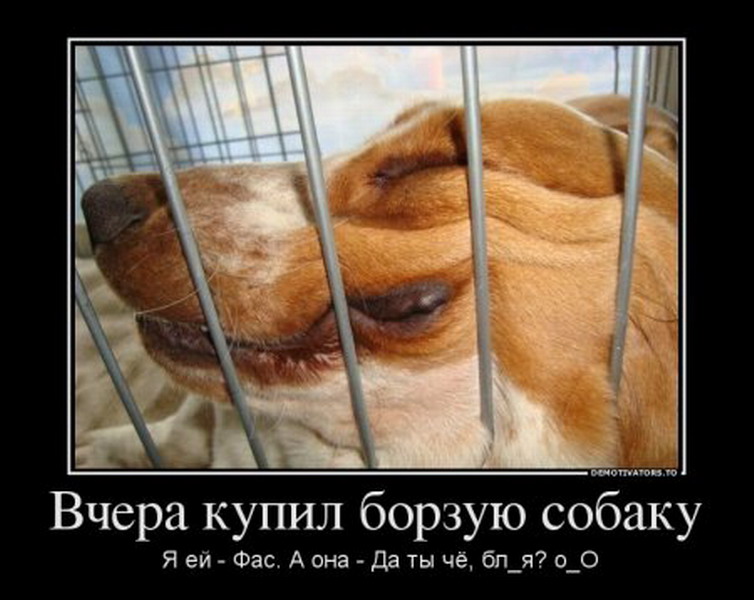 и только лётчики не выпендриваются. куплена вчера. купила самоклеющиеся обои утром проснулась. алло анекдот. куплена вчера.