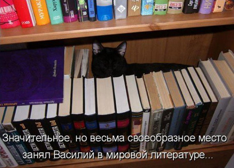 Не редко прочитав. Стихи про талант не быть талантом. Грамотным быть модно проект по русскому языку. Мотиватор чтения. Библиотека бажова новосибирск логотип.