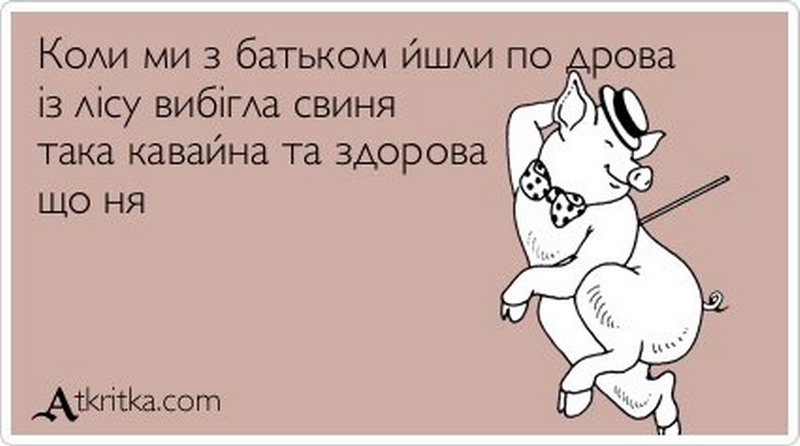 Скажи поросят. Шутки про свиней. Анекдоты про поросят. Смешные шутки про свиней. Анекдоты про свиней и поросят.