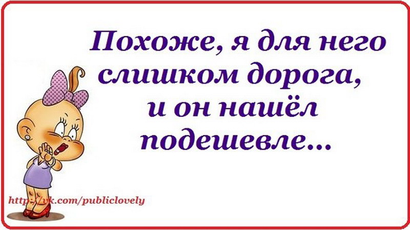 Слишком дорог был. Смешные цитаты. Она была ему дорога. Она была ему очень дорога и он нашел подешевле. Она была для него слишком дорога и он нашел подешевле.