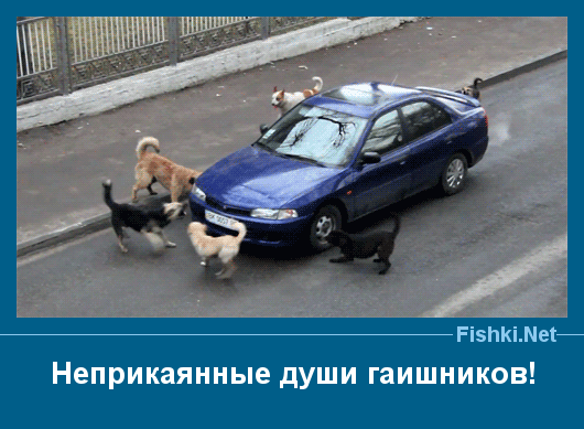 ����� � ���������