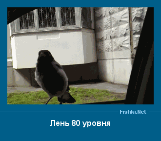 ����� � ���������