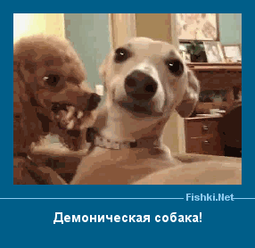 ����� � ���������