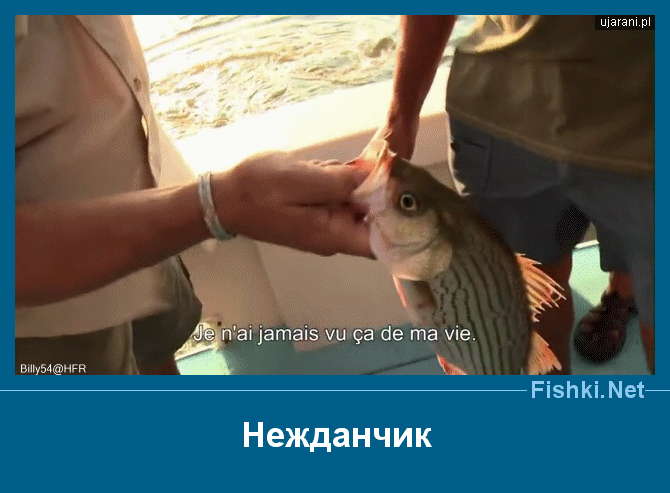 ����� � ���������