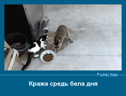 ����� � ���������