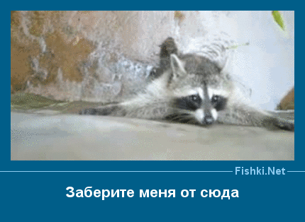 ����� � ���������