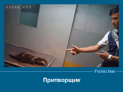 ����� � ���������