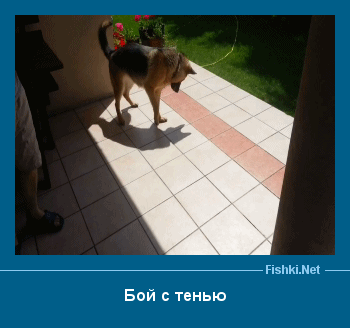 ����� � ���������