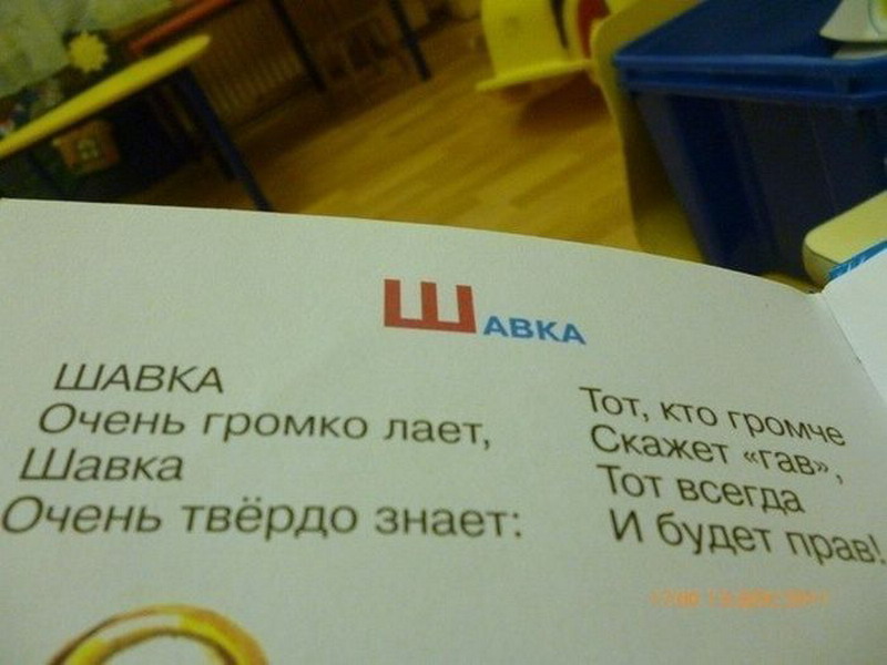 Слово шавка