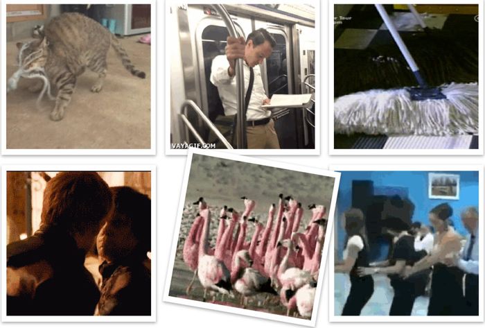 ����� � ���������