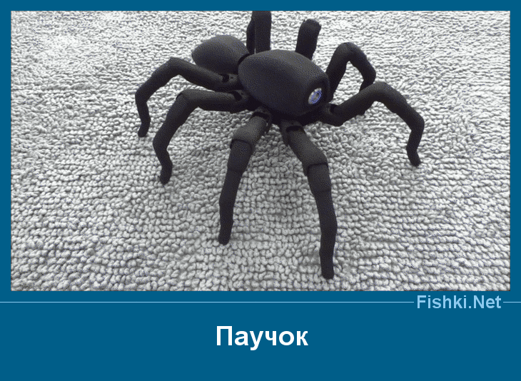 ����� � ���������