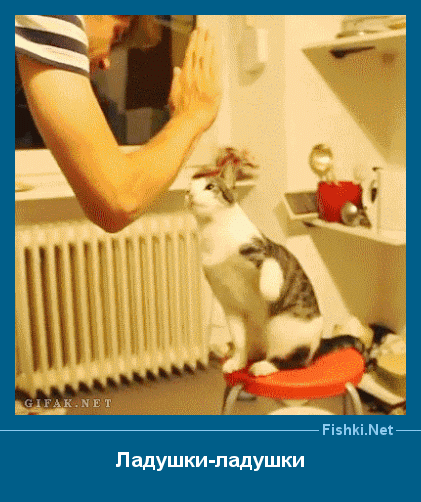 ����� � ���������