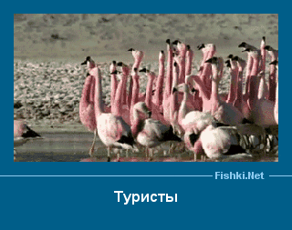 ����� � ���������