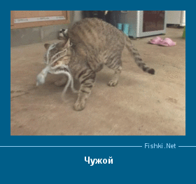 ����� � ���������