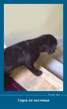 ����� � ���������