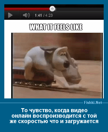 ����� � ���������