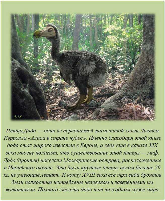 ������������ �����