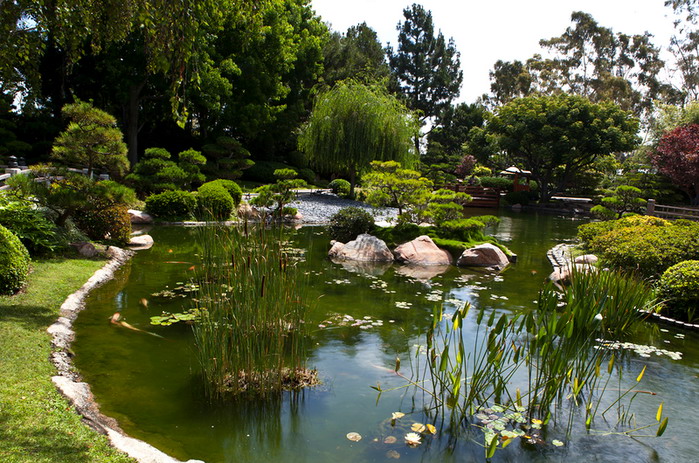 Японский сад в Калифорнии