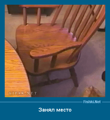 ����� � ���������