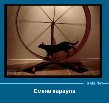 ����� � ���������