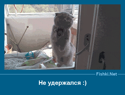 ����� � ���������