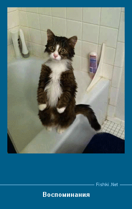 ����� � ���������