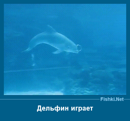 ����� � ���������