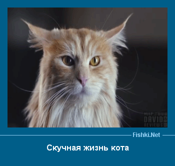 ����� � ���������