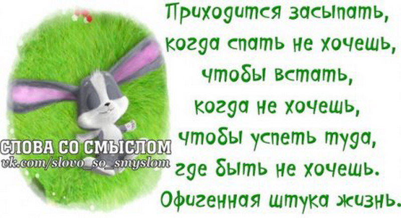 Чтобы встать в 6. Слова со смыслом в картинках прикольные. Жизненные цитаты со смыслом прикольные. Афоризмы про жизнь со смыслом короткие смешные. Слова со смыслом прикольные новые.