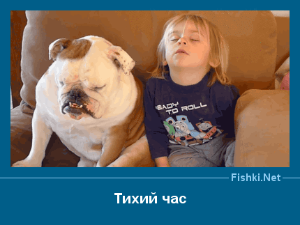 ����� � ���������