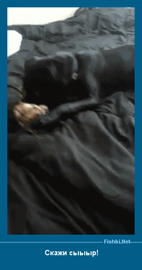 ����� � ���������