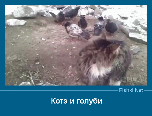 ����� � ���������