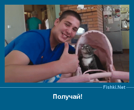 ����� � ���������