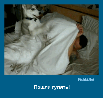 ����� � ���������