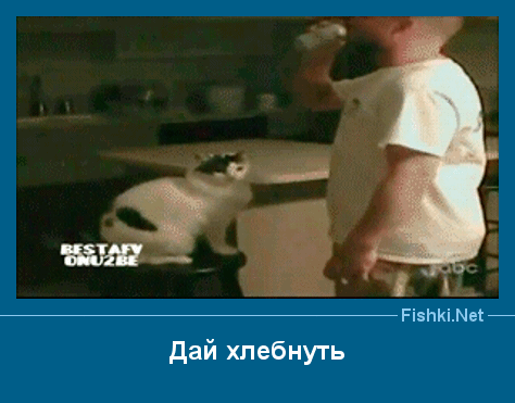 ����� � ���������