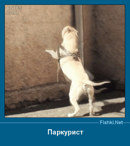 ����� � ���������