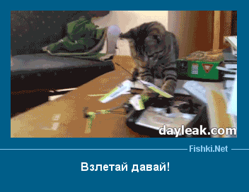 ����� � ���������