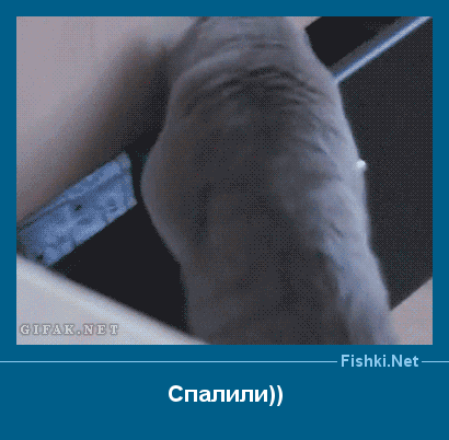 ����� � ���������