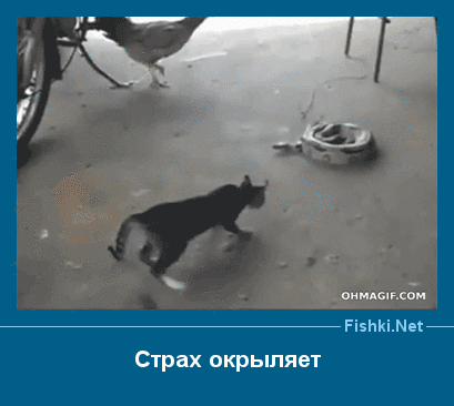 ����� � ���������