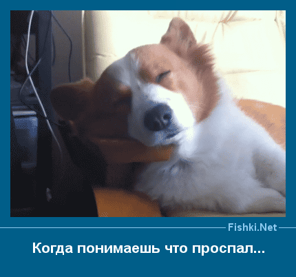 ����� � ���������